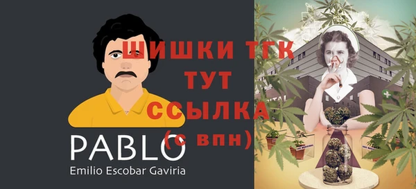 амф Заволжск