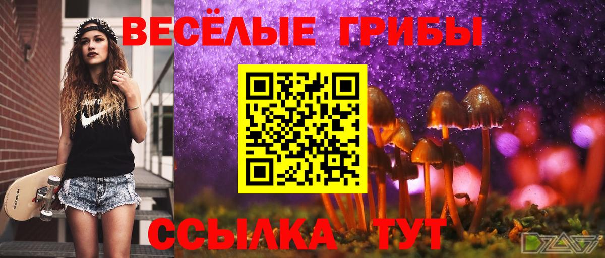 где найти наркотики  Псилоцибиновые грибы прущие грибы  Сибай  Псилоцибиновые грибы MAGIC MUSHROOMS 