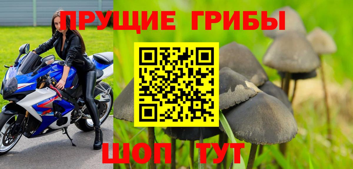 Сибай  Галлюциногенные грибы ЛСД  Вход с VPN 